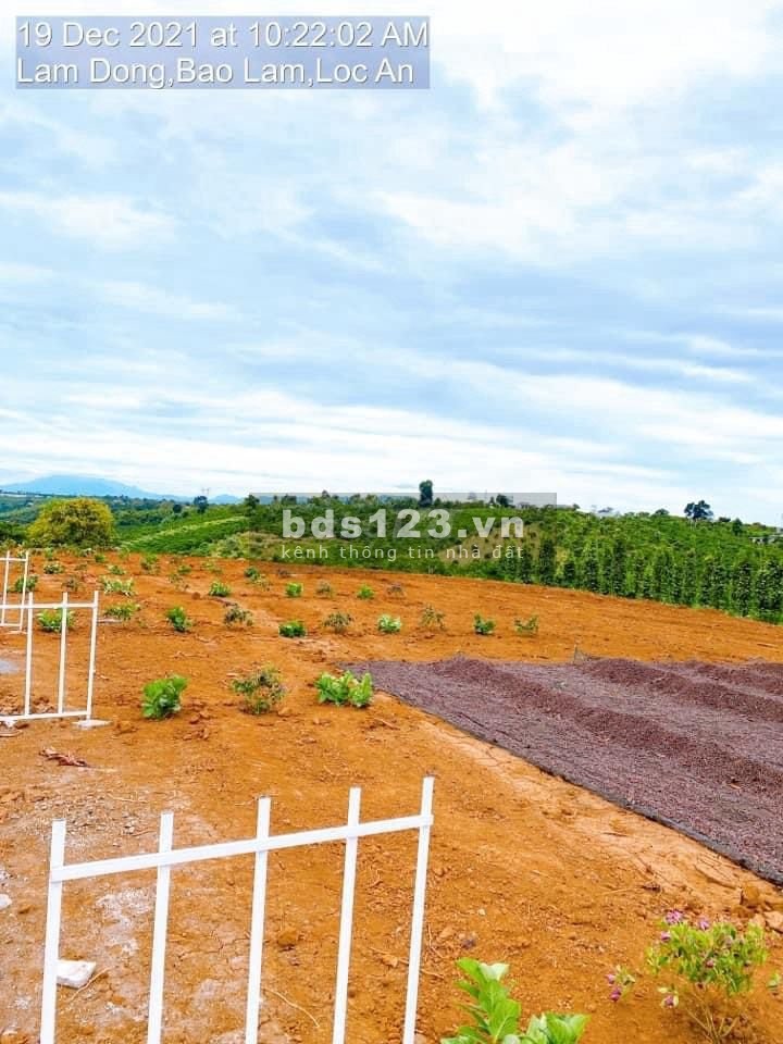 Cần bán lô đất tại làng sinh thái nghỉ dưỡng tại Bảo Lâm, chỉ 760 triệu/nền giá tốt