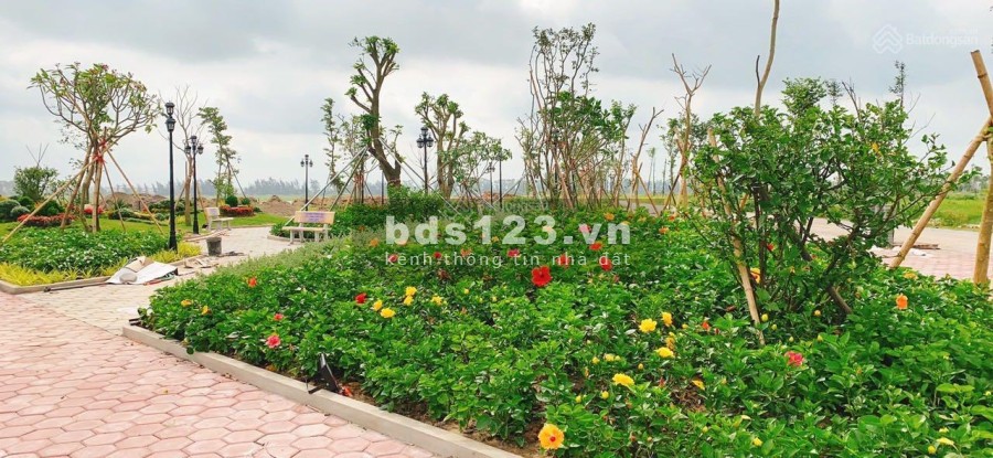 Chính chủ tôi cần thanh khoản lô LK rẻ nhất thị trường Newcity Phố Nối