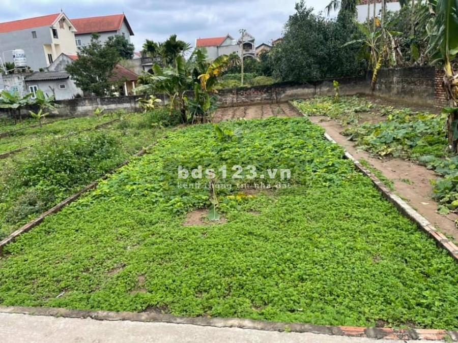 Chính chủ bán 101,5m2 Đan Kim, Liên Nghĩa, đường trước mặt rộng 10m giá 27 triệu/m2