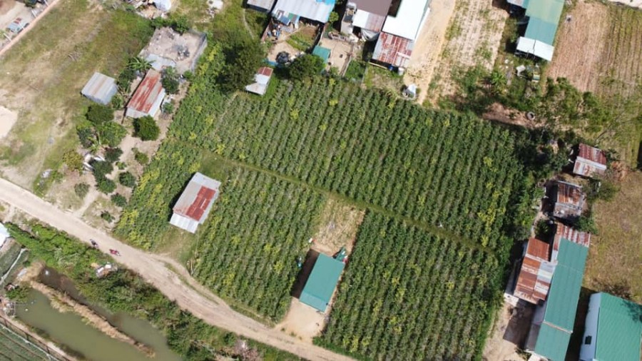 Bán nhanh lô đất khu kinh tế mới Lạc Xuân - Đơn Dương- Lâm Đồng