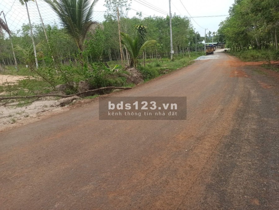 Bán đất cao su 2 mặt tiền tại Bình Phước thích hợp đầu tư phân lô liên hệ 0868617698