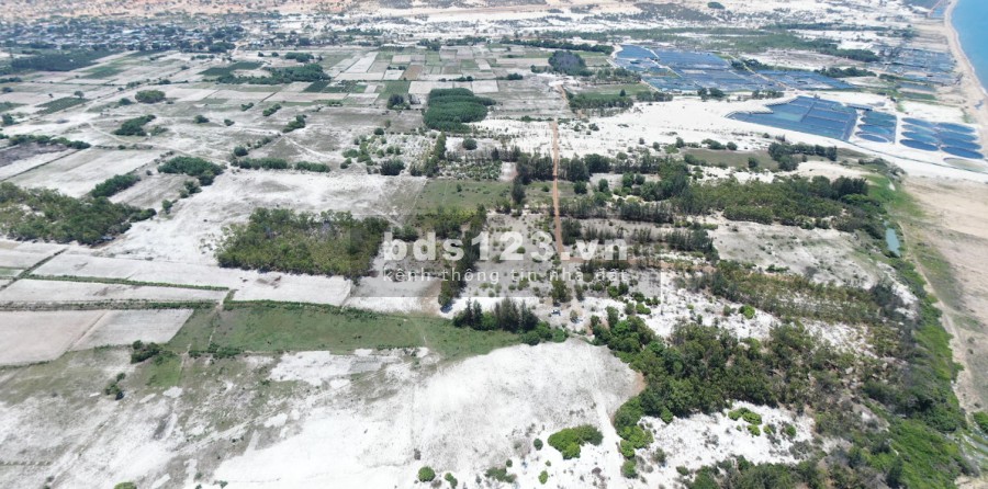 Bán đất gần biển chỉ từ 2-3km, đầu tư sinh lời ngay sổ đẹp, pháp lý chính chủ, giá tốt đầu tư