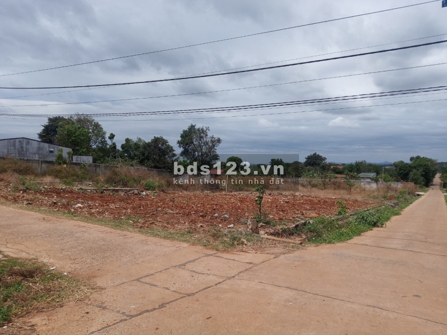 Bán đất thổ cư đường A2 thôn 4 cưebua giá 2,05 tỷ, diện tích 245m2, Mt 10m, đường qh 12m