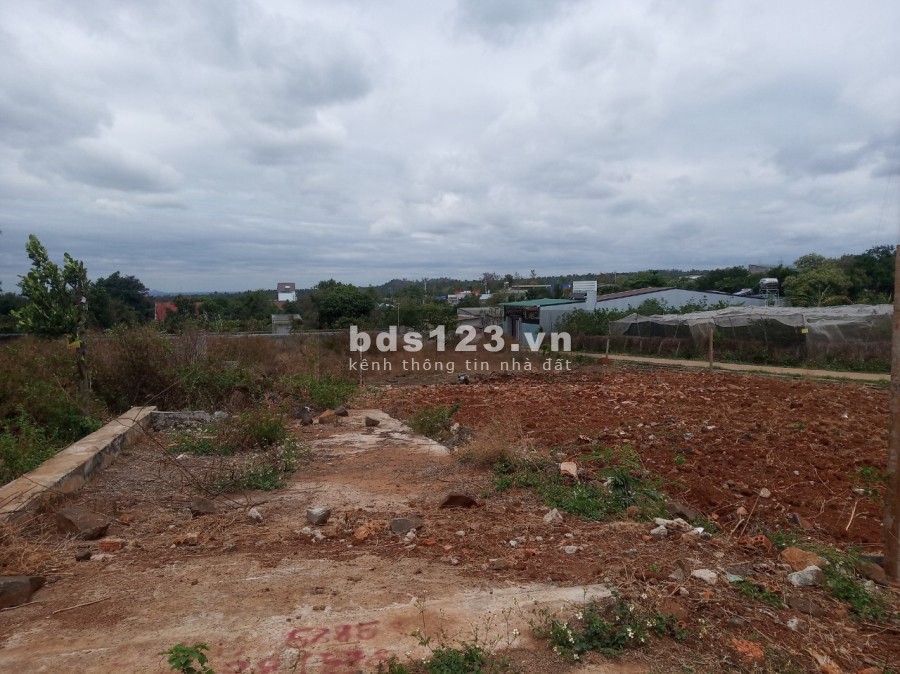 Bán đất thổ cư đường A2 thôn 4 cưebua giá 2,05 tỷ, diện tích 245m2, Mt 10m, đường qh 12m