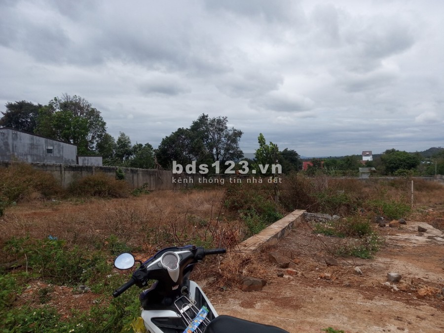 Bán đất thổ cư đường A2 thôn 4 cưebua giá 2,05 tỷ, diện tích 245m2, Mt 10m, đường qh 12m