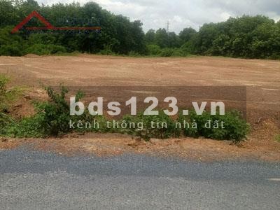 Gia đình có 5 sào đất cần bán để giải quyết việc kinh doanh liên hệ 0919197490