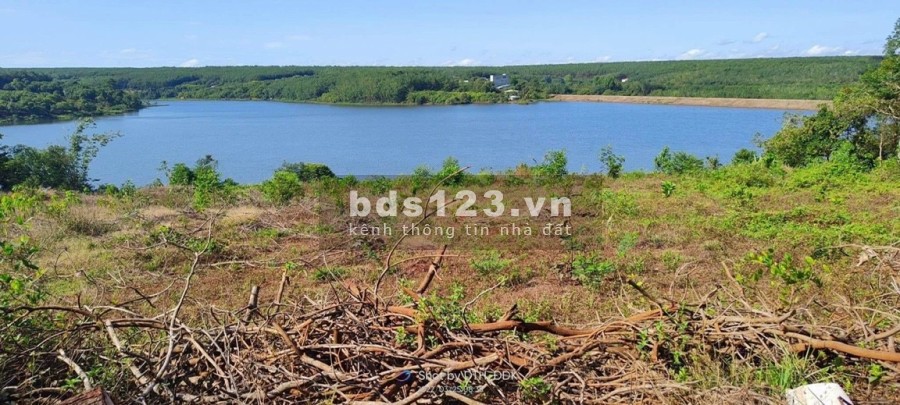 Bán lô đất 1000m2 phú riềng mặt tiền 12m khu dân cư đông, liên hệ 0814964946