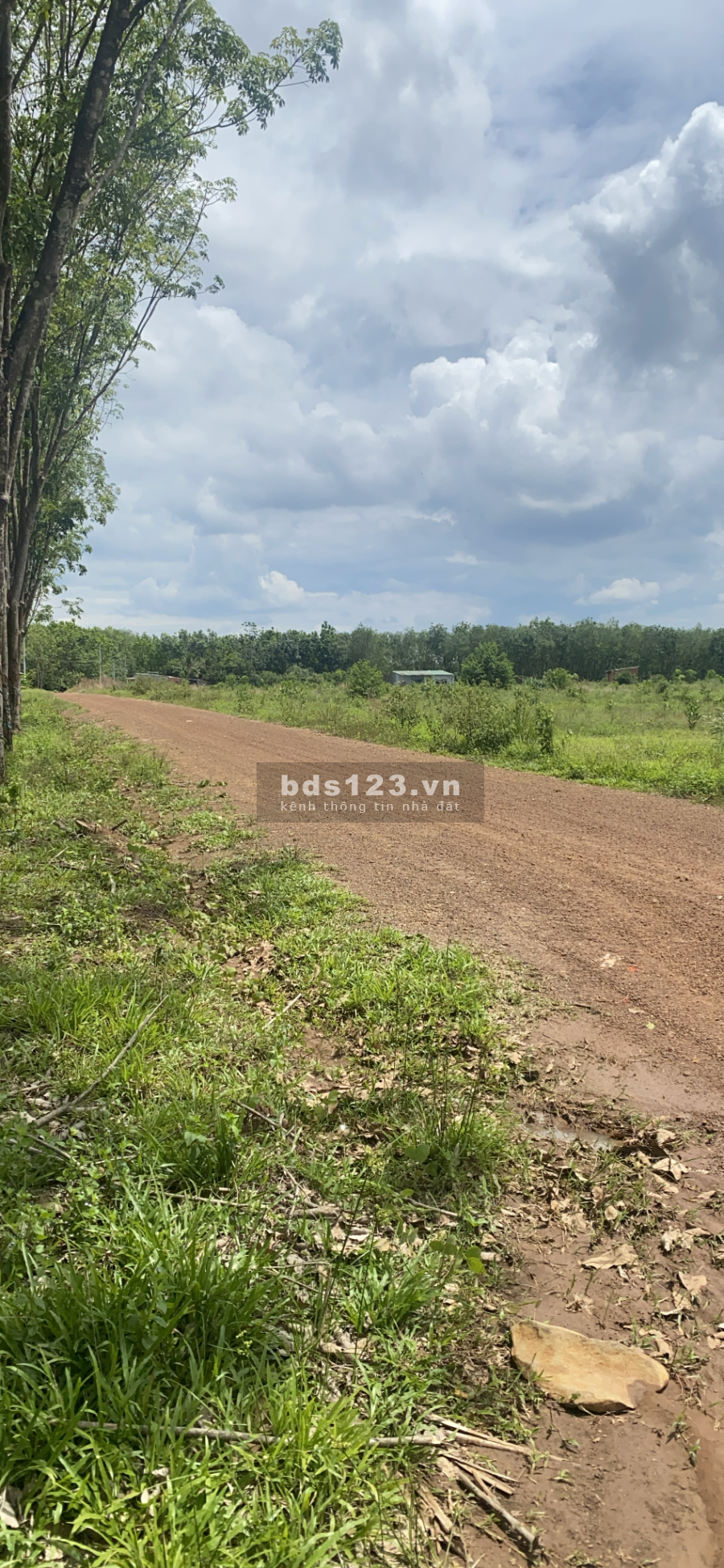 Bán lô đất 1000m2 phú riềng mặt tiền 12m khu dân cư đông, liên hệ 0814964946