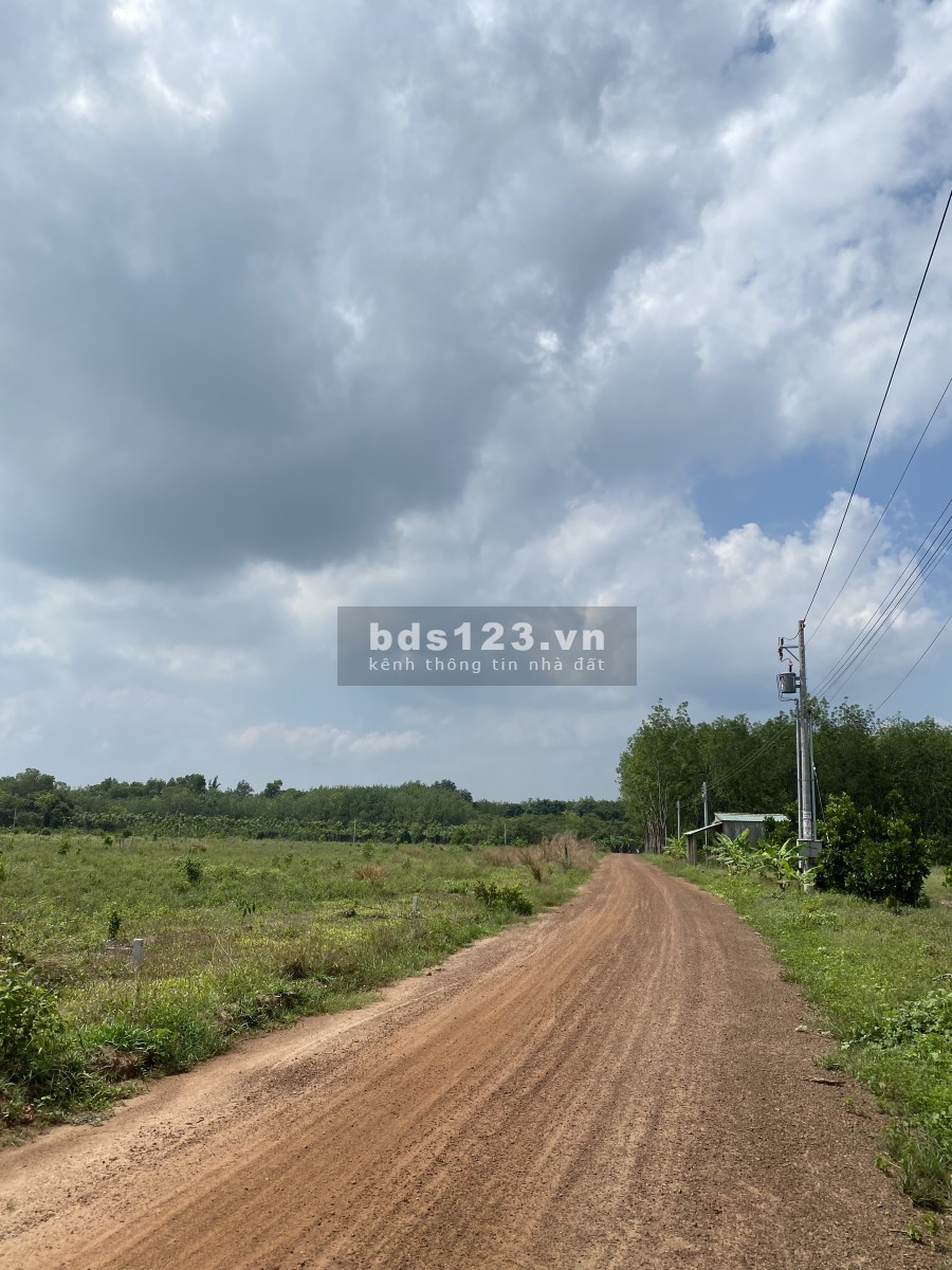 Bán lô đất 1000m2 phú riềng mặt tiền 12m khu dân cư đông, liên hệ 0814964946