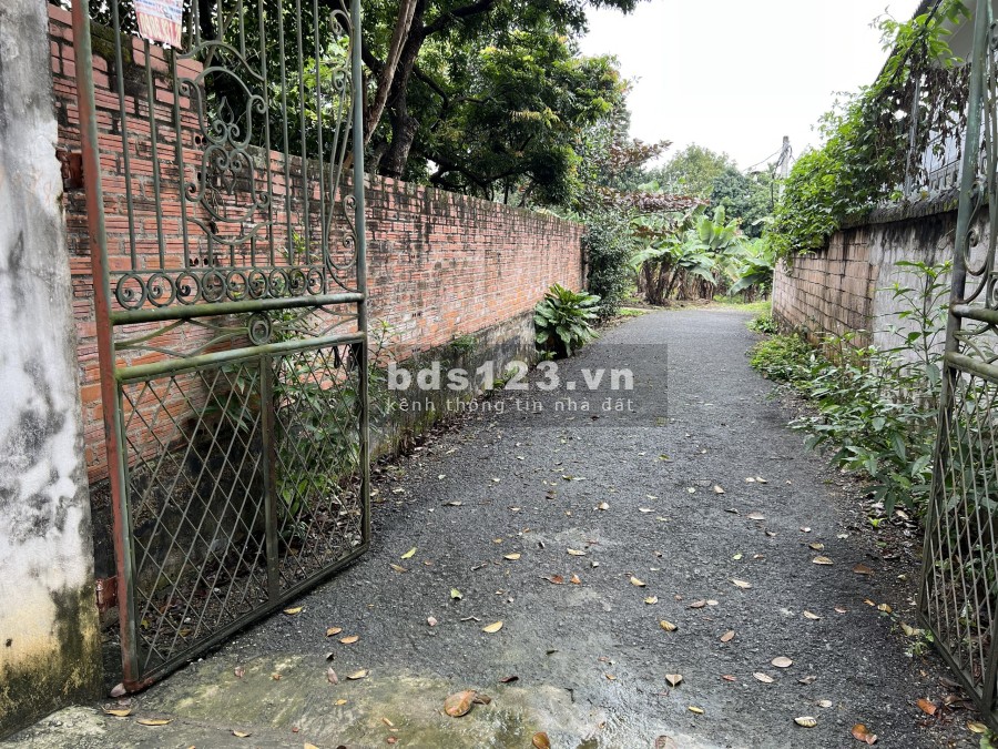 Gia đình cần tiền bán đất F0 không qua đầu tư hay môi giới liên hệ 0333871386