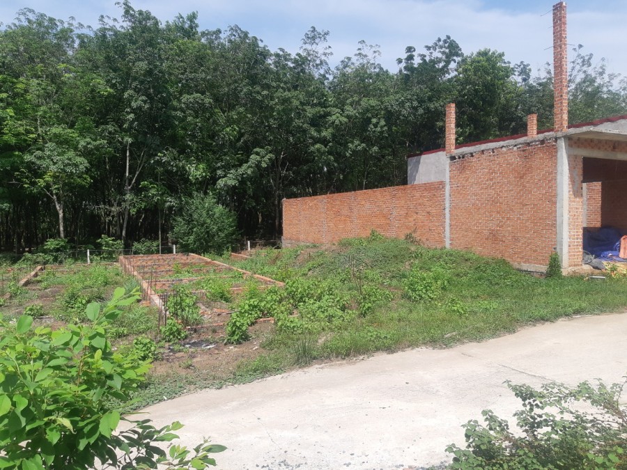 Tôi bán đất nền Gò Dầu, Tây Ninh giá bán chỉ 589 triệu đầu tư sinh lời cao, pháp lý đủ