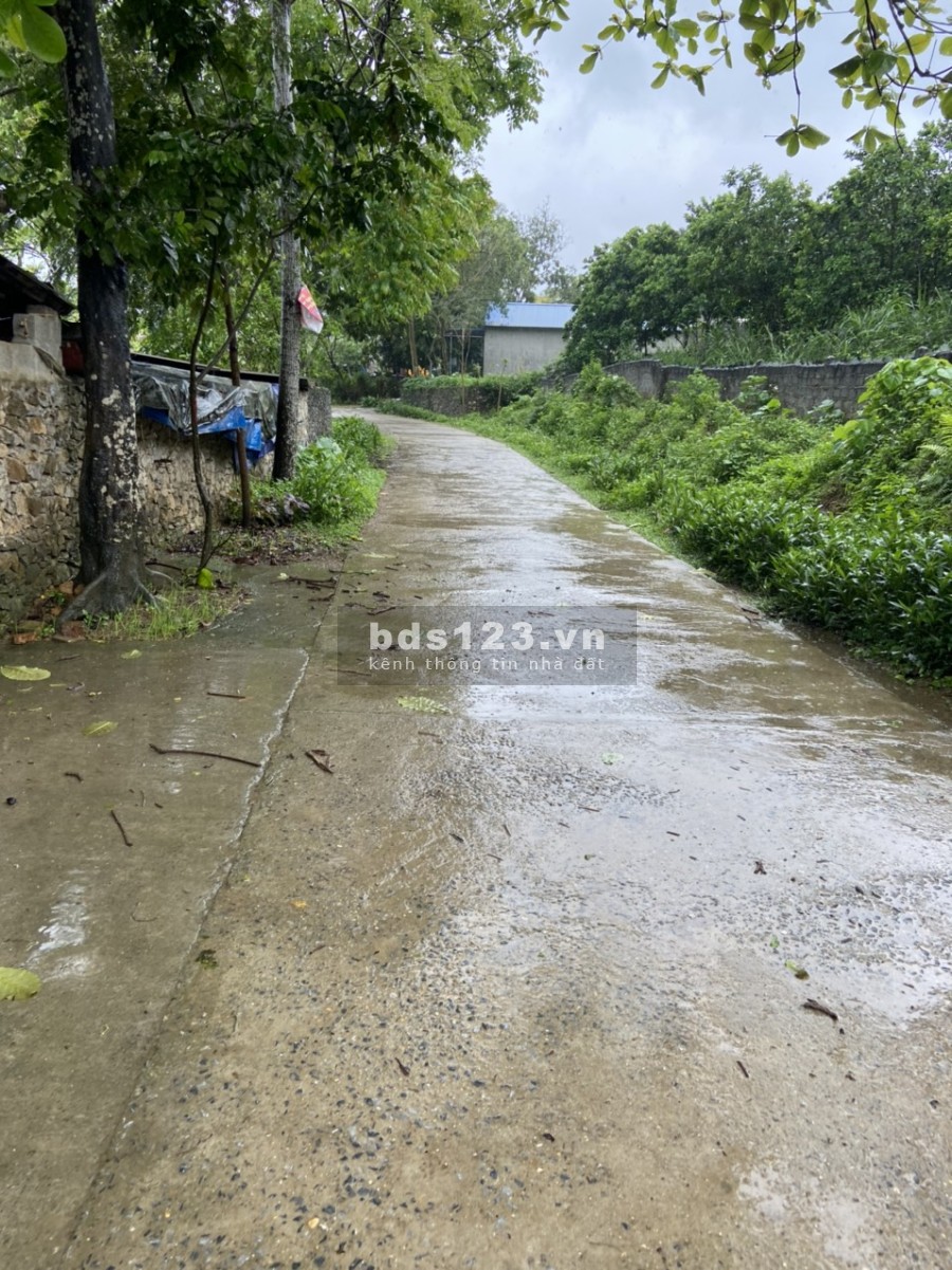 Chủ cần bán gấp lô đất tại Lương sơn Lô góc 3 mặt tiền tại Lương sơn - Hoà bình 2058m 400tc