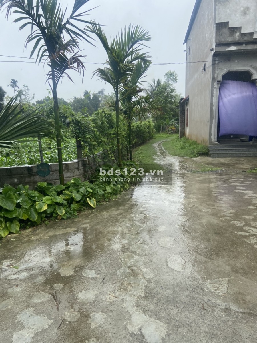 Chủ cần bán gấp lô đất tại Lương sơn Lô góc 3 mặt tiền tại Lương sơn - Hoà bình 2058m 400tc