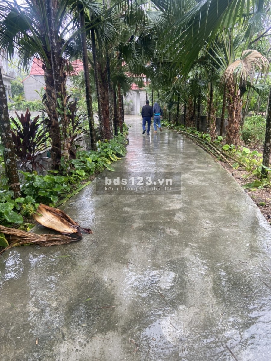 Chủ cần bán gấp lô đất tại Lương sơn Lô góc 3 mặt tiền tại Lương sơn - Hoà bình 2058m 400tc