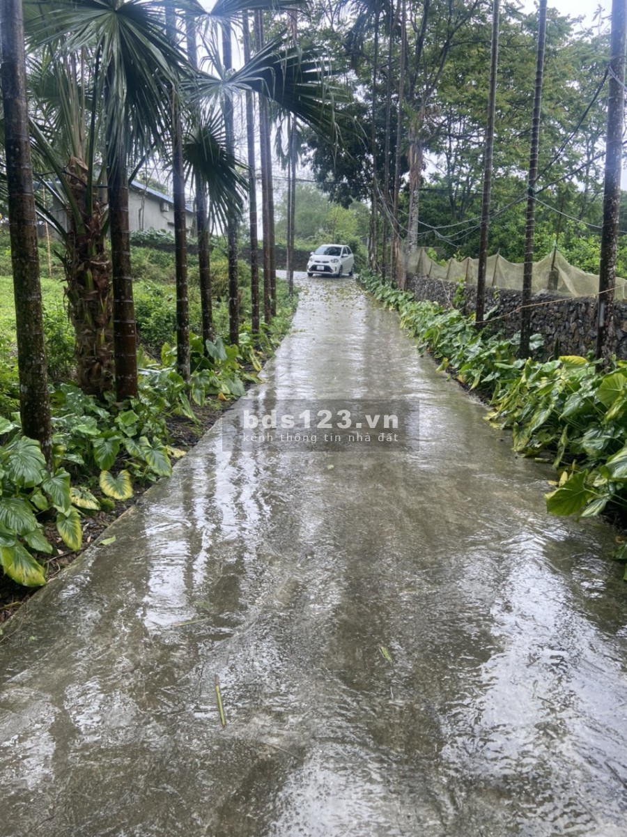Chủ cần bán gấp lô đất tại Lương sơn Lô góc 3 mặt tiền tại Lương sơn - Hoà bình 2058m 400tc