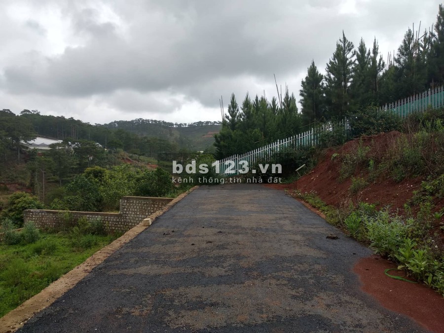 Sót lô Măng Lin xây biệt thự, view đồi thông, sương sớm, hoàng hôn dt 202m2 giá 5.3 tỷ