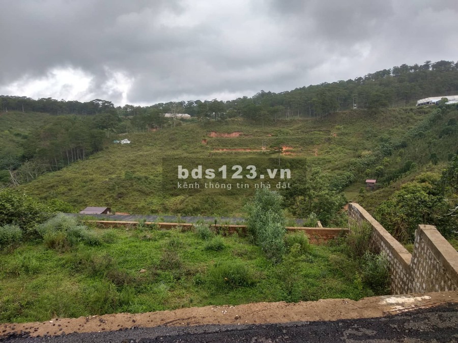 Sót lô Măng Lin xây biệt thự, view đồi thông, sương sớm, hoàng hôn dt 202m2 giá 5.3 tỷ