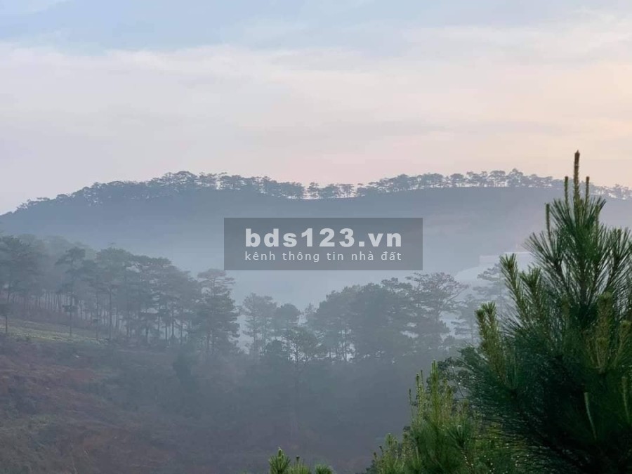 Sót lô Măng Lin xây biệt thự, view đồi thông, sương sớm, hoàng hôn dt 202m2 giá 5.3 tỷ
