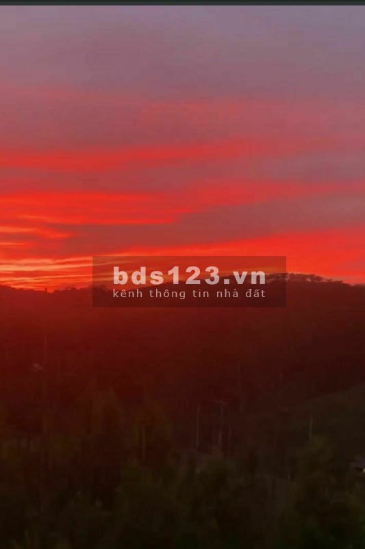 Sót lô Măng Lin xây biệt thự, view đồi thông, sương sớm, hoàng hôn dt 202m2 giá 5.3 tỷ