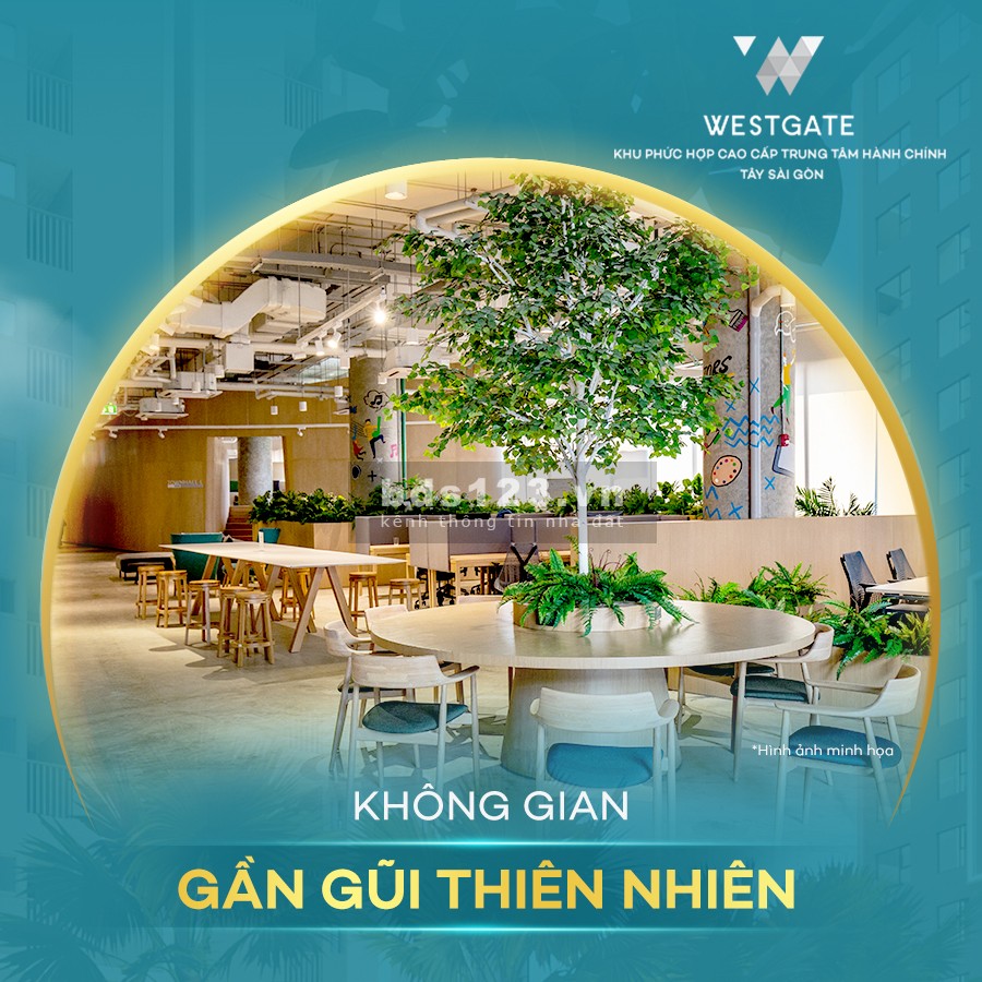 Chỉ từ 480 triệu sở hữu ngay căn hộ Bình Chánh sổ hồng lâu dài, nhiều chính sách ưu đãi