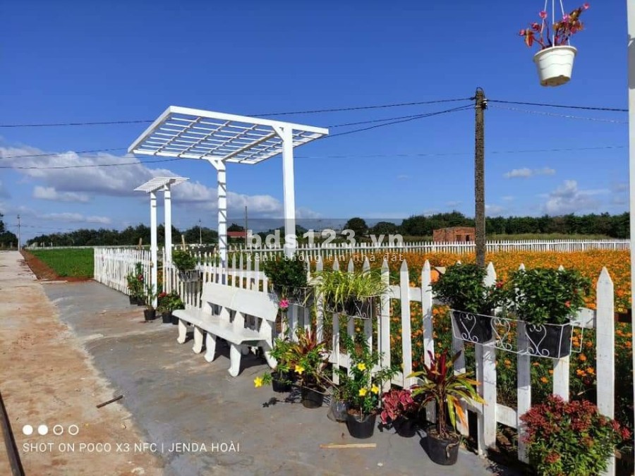 Bán gấp lô đất trong khu dân cư đại đồng, giá rẻ, vị trí thuận lợi đầu tư sinh lời ngay