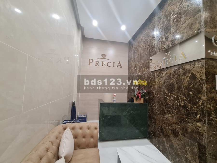 Nhà đẹp Quận 2 đang bàn giao giới hạn 12 căn đẹp Precia giá gốc chủ đầu tư sinh lời