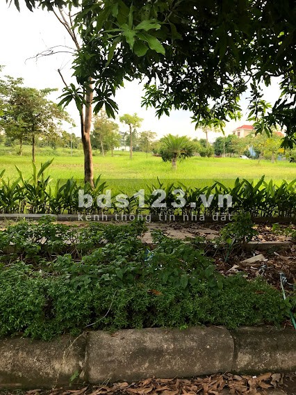 Bán lô mặt vườn hoa hướng Nam New City Phố Nối pháp lý chính chủ, bàn giao đầy đủ