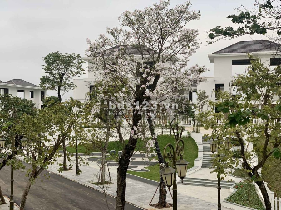 Dinh thự đỉnh đồi Phoenix Legend Hạ Long món quá đắt giá trong bộ sưu tập bất động sản