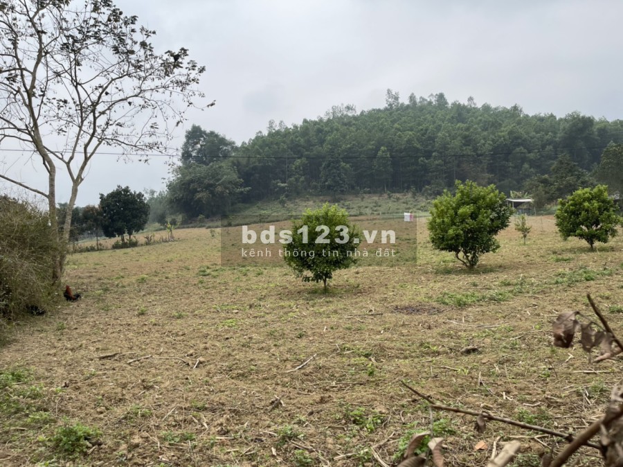 Bán đất thị trấn Mãn Đức Tân Lạc HB. Lô góc 2 mặt tiền đường 2 oto tránh, giá hơn 1tr/m2 0982876689