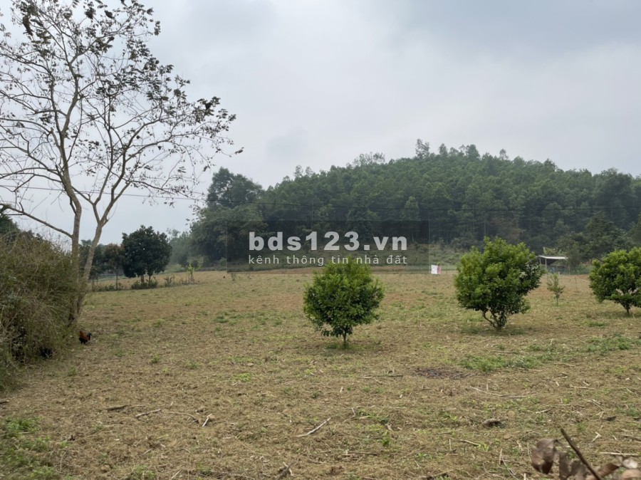 Bán đất thị trấn Mãn Đức Tân Lạc HB. Lô góc 2 mặt tiền đường 2 oto tránh, giá hơn 1tr/m2 0982876689