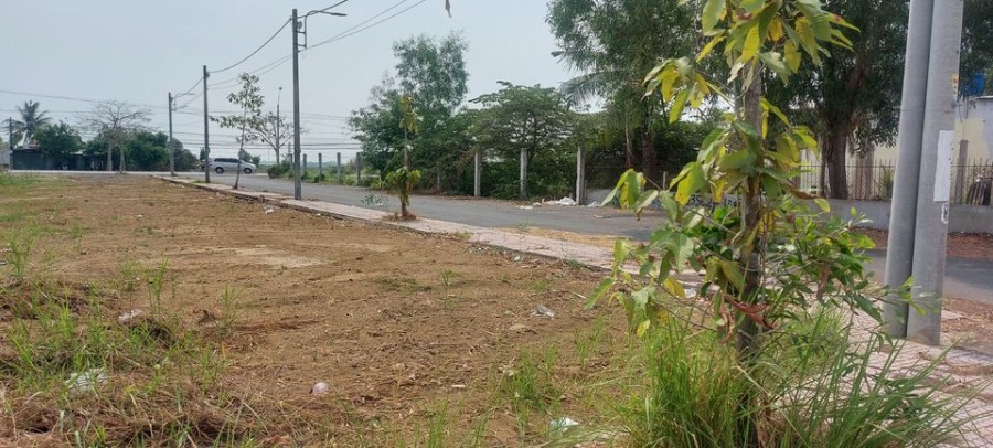 Đất chính chủ, sổ hồng giá bán 8 triệu/m2, Mặt Tiền QL50, công chứng sang tên trong ngày