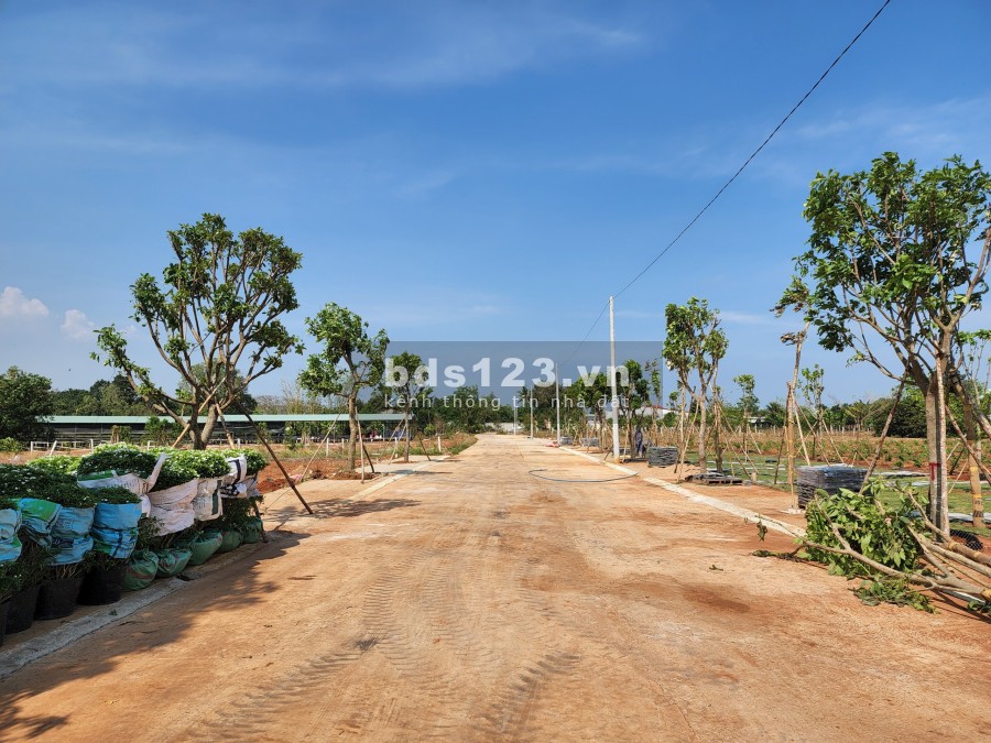 Cần thanh lí những lô thuộc khu trung tâm thị xã Phú Mỹ, chỉ 680 triệu đồng sổ sẵn