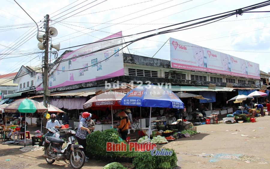Vợ chống mình cần tiền phát triển công ty VLXD muốn sang nhượng lại 5 sào đất giá tốt