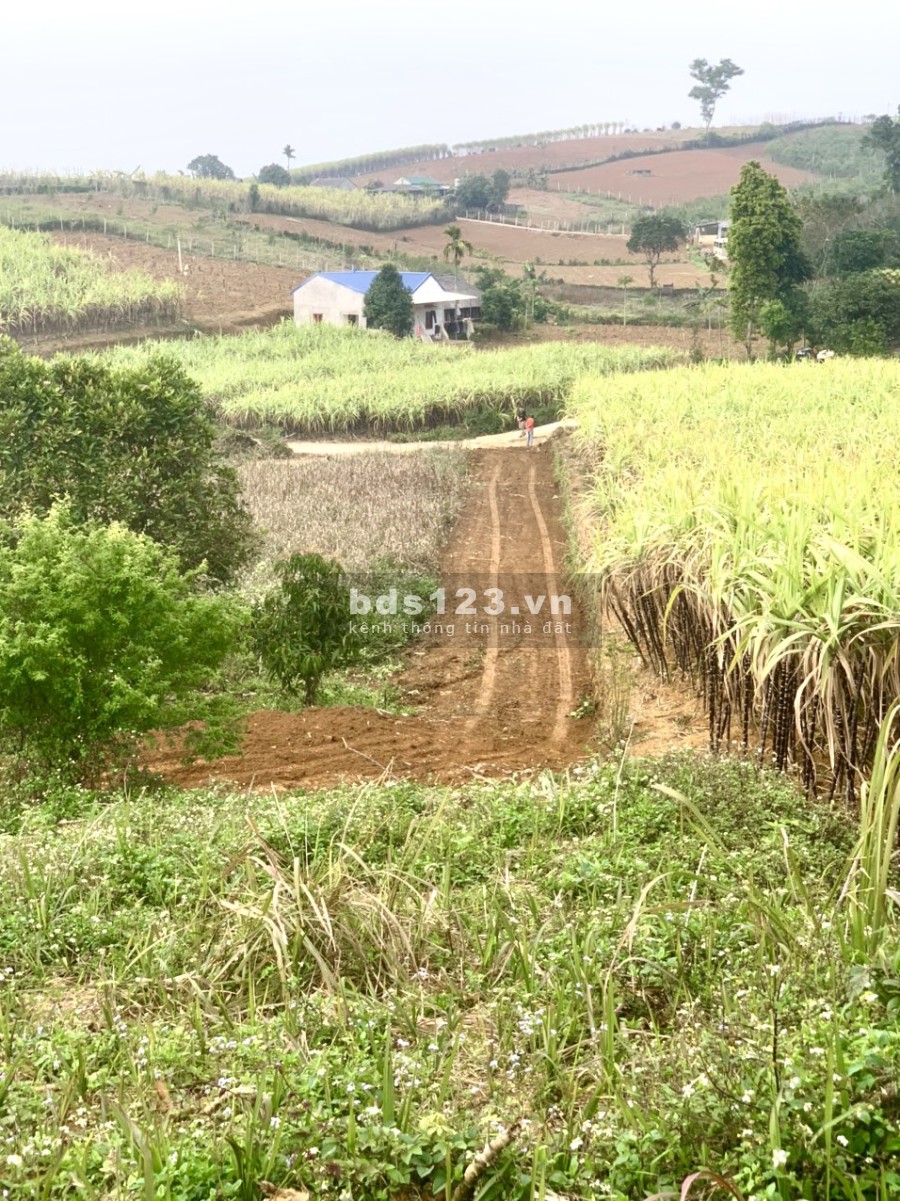 Nhỉnh 1 tỷ có ngay mảnh đất rộng 1500m2, có 800m2 thổ cư, view cao thoáng, tiện ích đủ