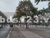 Bảng hàng bảng giá chi tiết tháng 4 shop liên kề biệt thự Geleximco A, B, C, D rẻ nhất thị trường