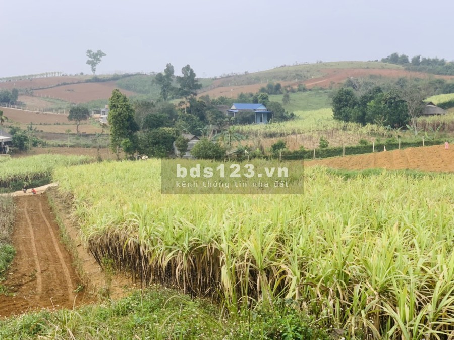 Nhỉnh 1 tỷ có ngay mảnh đất rộng 1500m2, có 800m2 thổ cư, view cao thoáng, tiện ích đủ