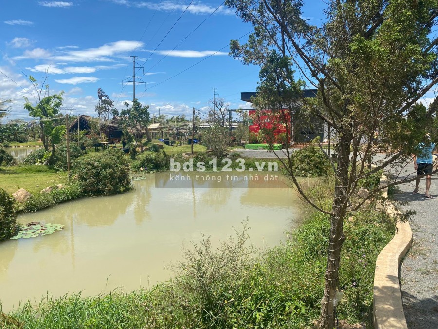 Tôi cần bán lô đất Garden House gần sân bay Liên Khương, giá 5.7 tỷ, lh 0343027209