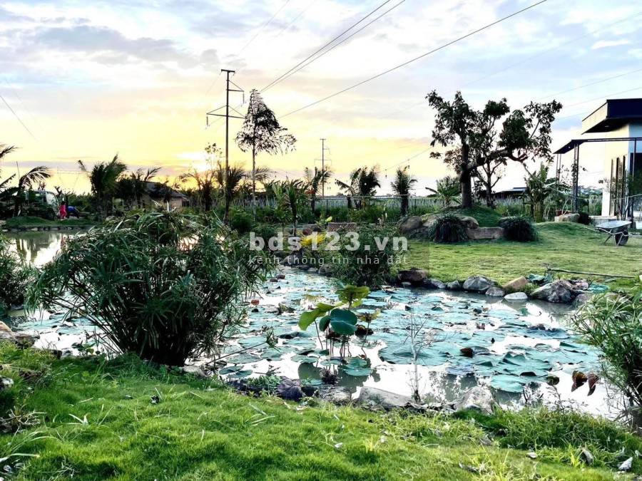 Tôi cần bán lô đất Garden House gần sân bay Liên Khương, giá 5.7 tỷ, lh 0343027209