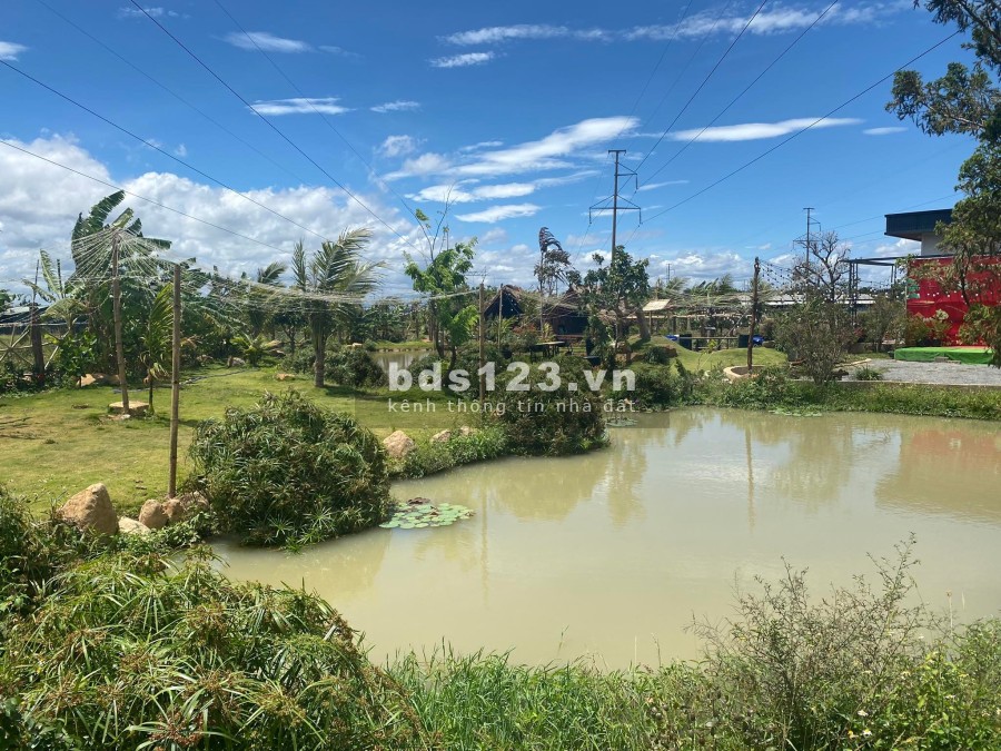 Tôi cần bán lô đất Garden House gần sân bay Liên Khương, giá 5.7 tỷ, lh 0343027209