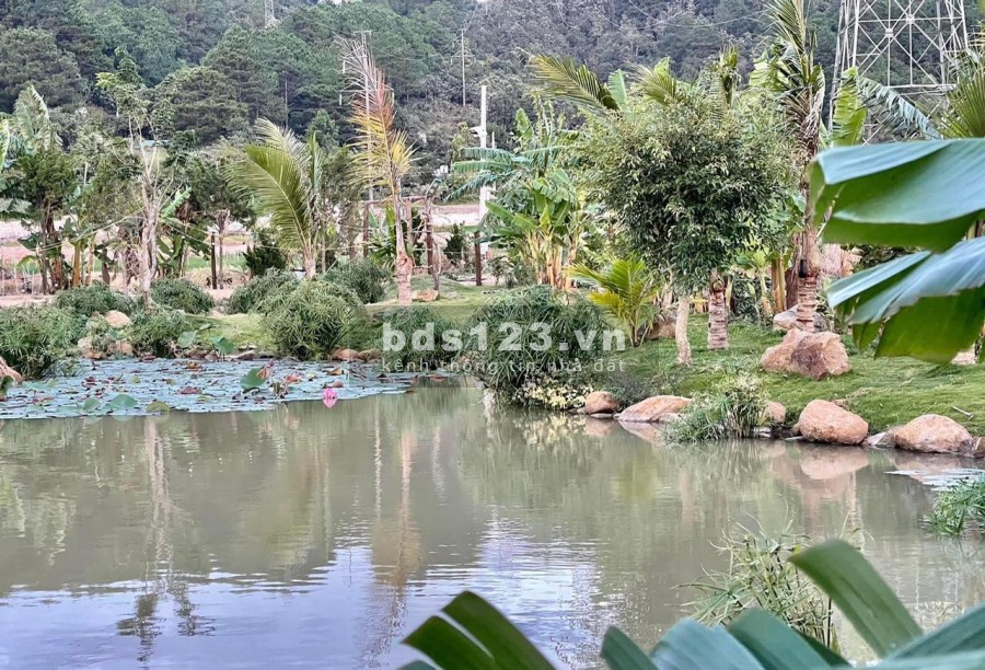 Tôi cần bán lô đất Garden House gần sân bay Liên Khương, giá 5.7 tỷ, lh 0343027209