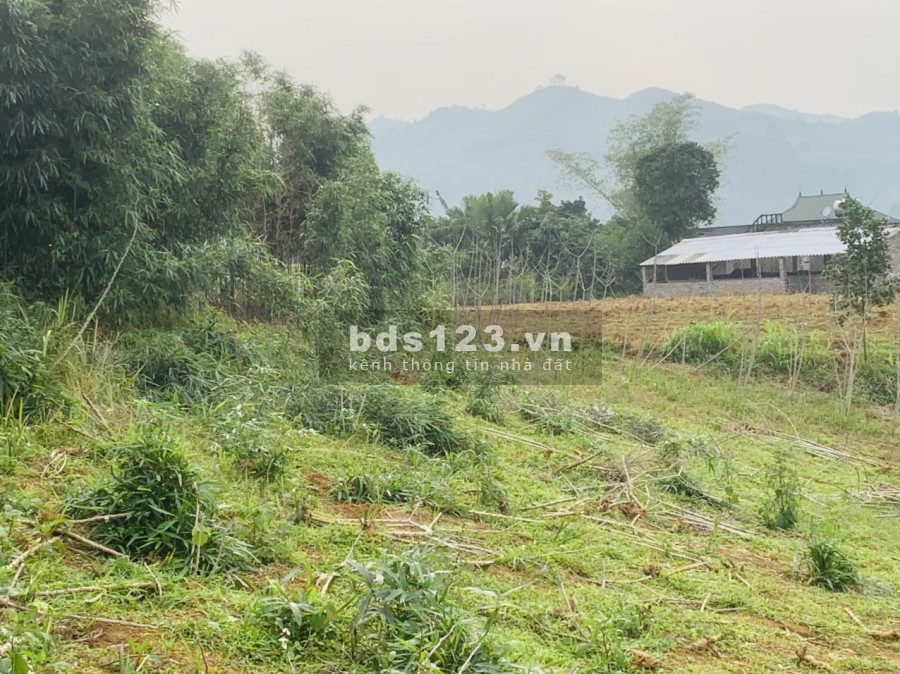 Nhỉnh 1 tỷ có ngay mảnh đất rộng 1500m2, có 800m2 thổ cư, view cao thoáng, tiện ích đủ