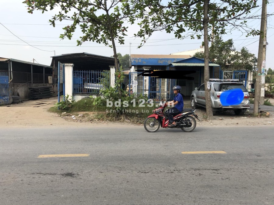 Cho thuê nhà xưởng 1000m2 mặt tiền đường Bùi Thanh Khiết