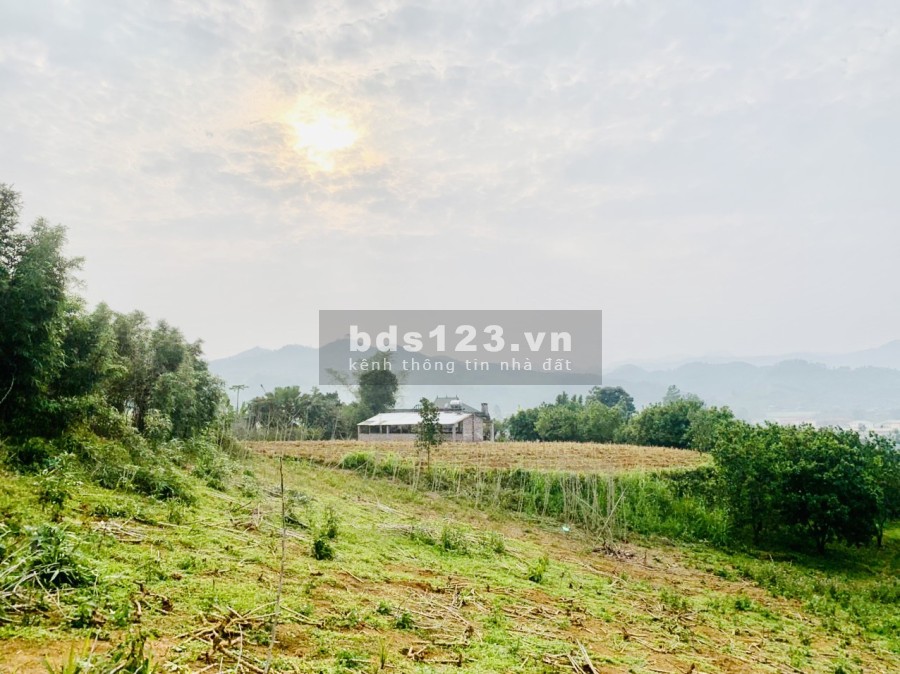 Nhỉnh 1 tỷ có ngay mảnh đất rộng 1500m2, có 800m2 thổ cư, view cao thoáng, tiện ích đủ