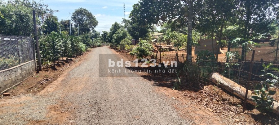 Chính chủ cần bán lô đất đẹp 12x28m, xã Ia Dêr, huyện Ia Grai giáp ranh TP Pleiku Gia Lai