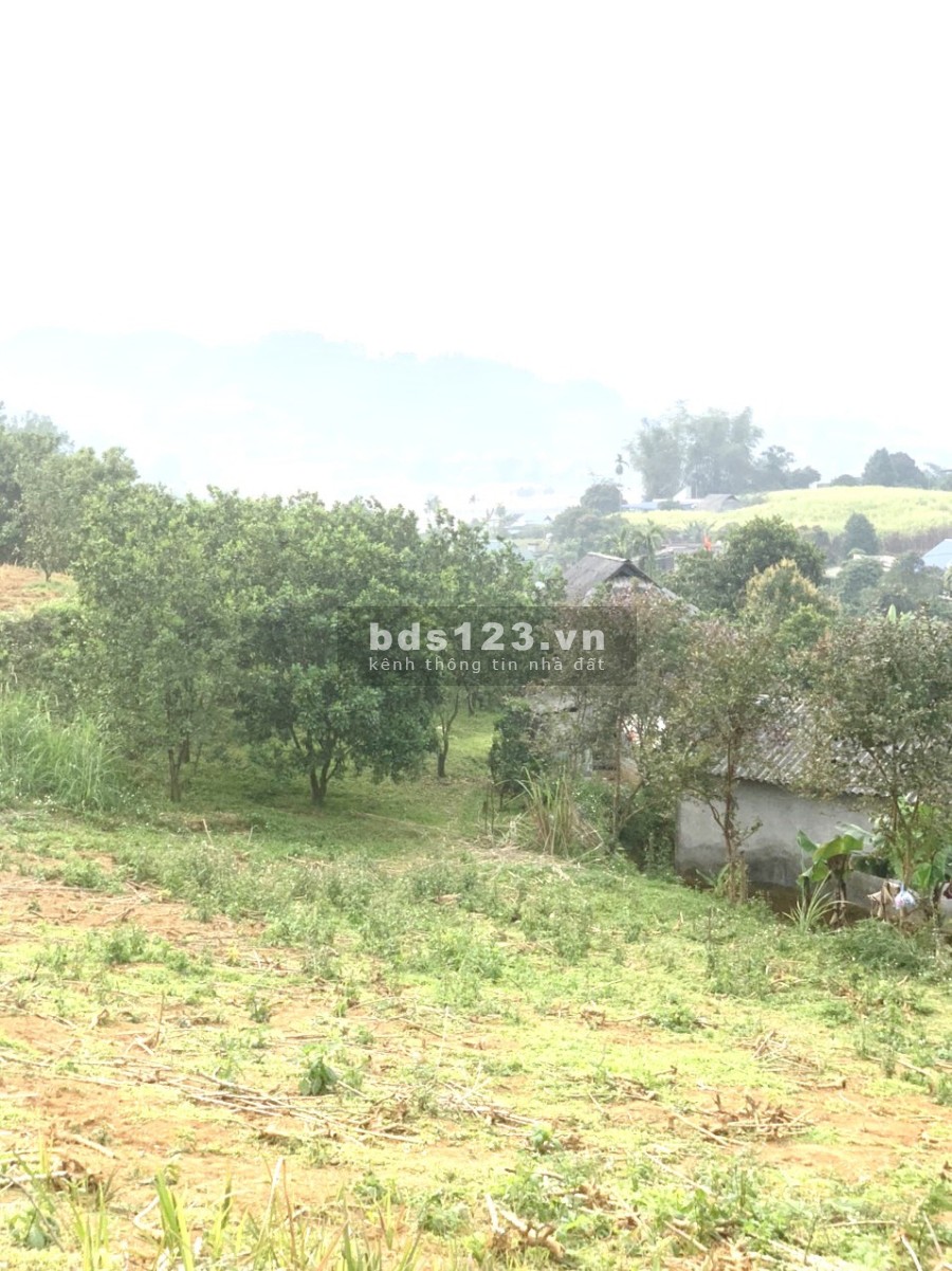 Nhỉnh 1 tỷ có ngay mảnh đất rộng 1500m2, có 800m2 thổ cư, view cao thoáng, tiện ích đủ