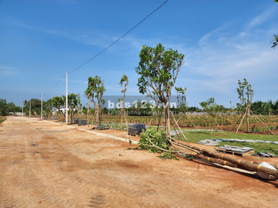 Bán đất nền Phú Mỹ, giá chỉ 800 triệu/nền sổ sẵn sàng giao dịch, bàn giao ngay