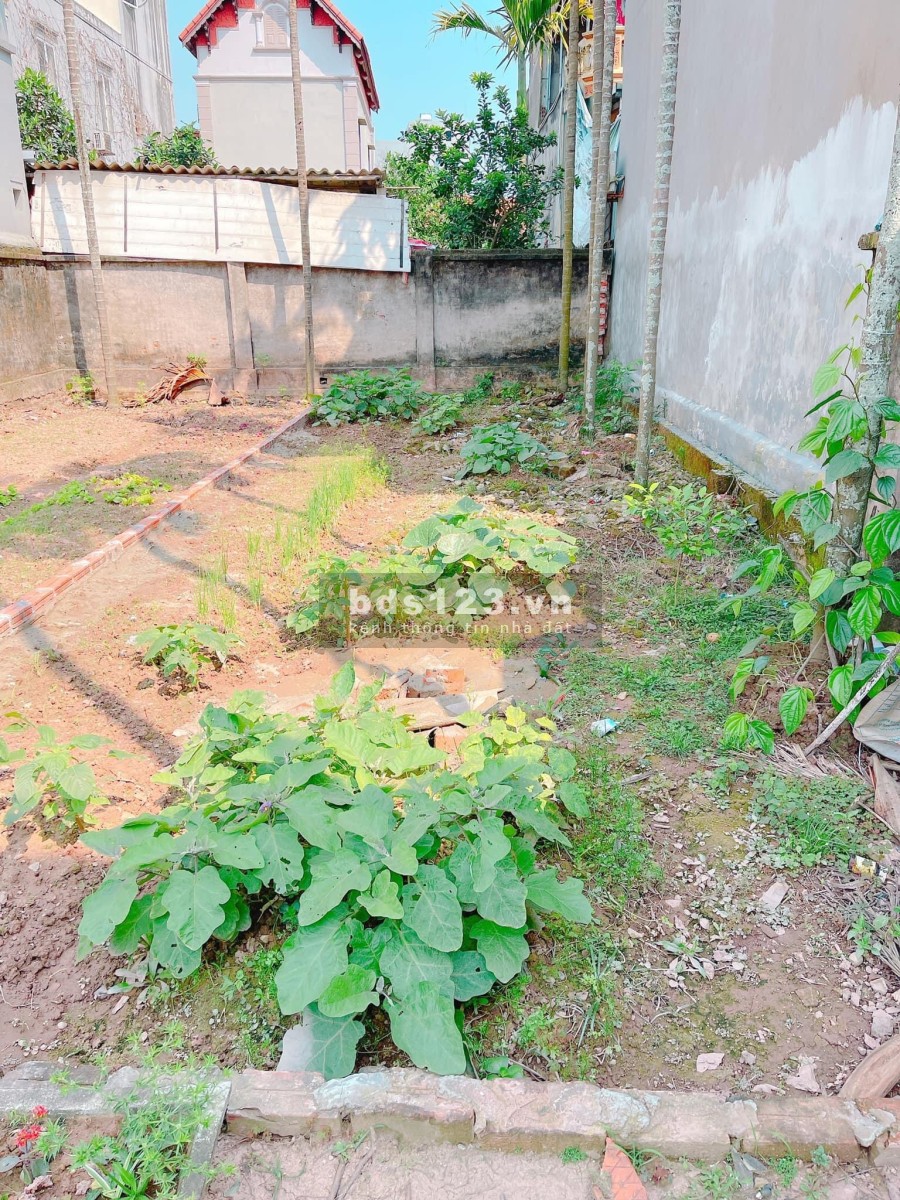 Chính chủ cần bán 48,2m2 đất thổ cư tại thôn La Thạch, xã Phương Đình, huyện Đan Phượng