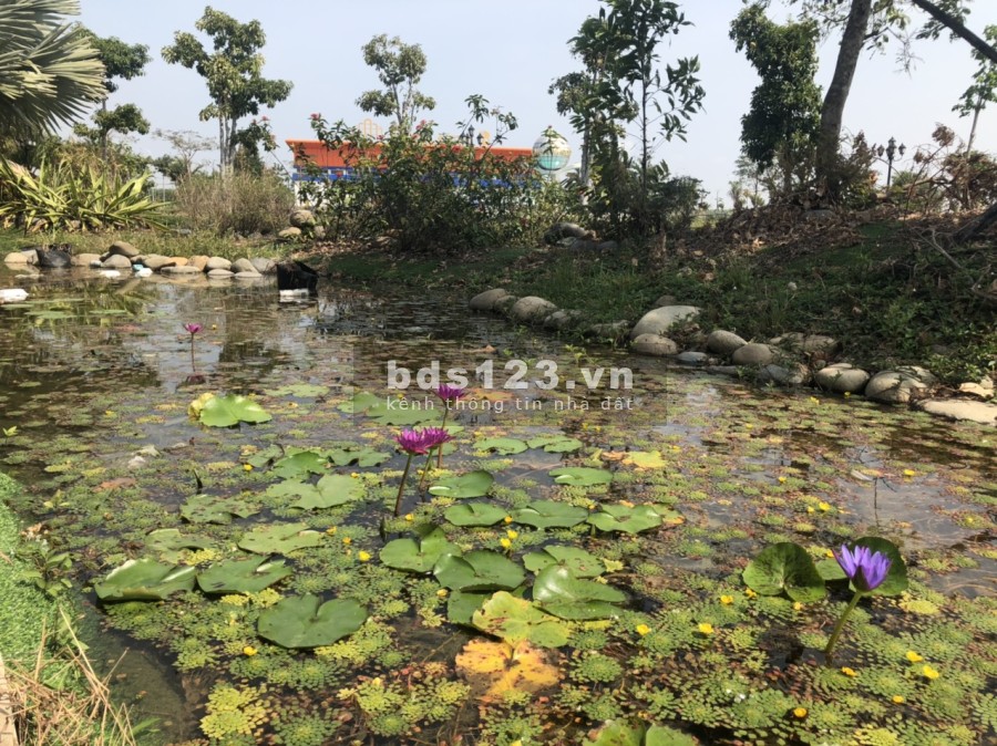Dự án Mega City 2 đất vàng đầu tư gần say bay Long Thành, pháp lý sổ hồng, thổ cư riêng