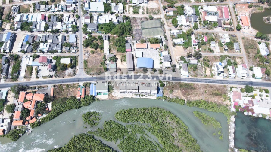 Cần bán biệt thự Vũng Tàu mặt tiền biển 700m2