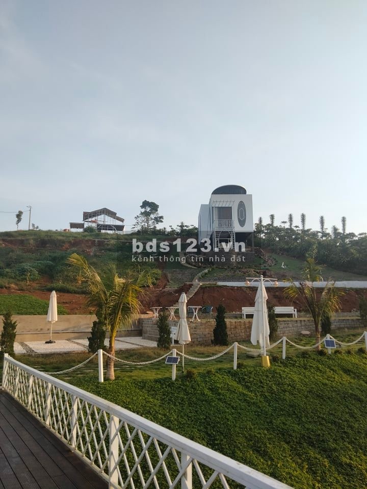 Chủ cần bán đất nghĩ dưỡng view hồ quy hoạch thổ cư giá chỉ 5.5 triệu/m2, cam kết rẻ nhất khu vực